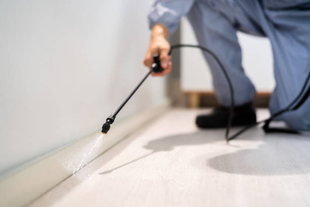 Licensed Mosquito Control service in Hannibal, MO - Nex Pest Control
