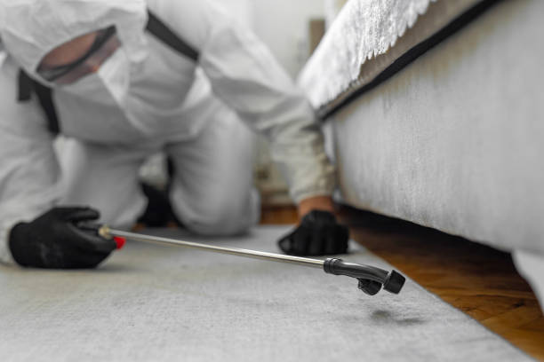 Professional Mosquito Control technician working in Hannibal, MO