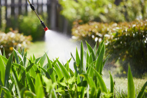 24/7 Emergency Mosquito Control experts in Hannibal, MO