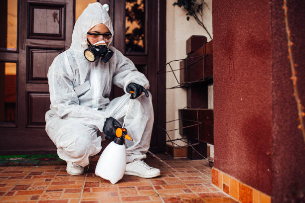 Reliable Mosquito Control contractor in Hannibal, MO by Nex Pest Control