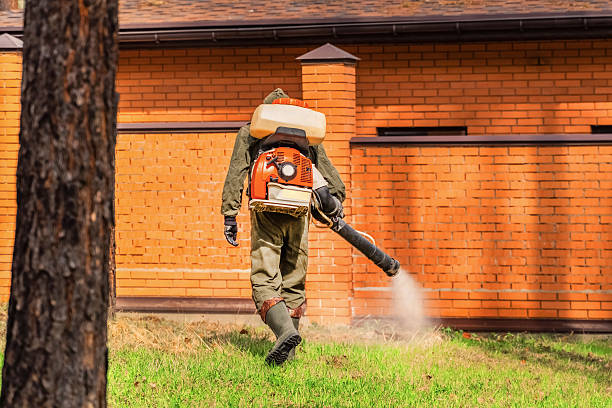 Top rated local Mosquito Control specialists in Hannibal, MO